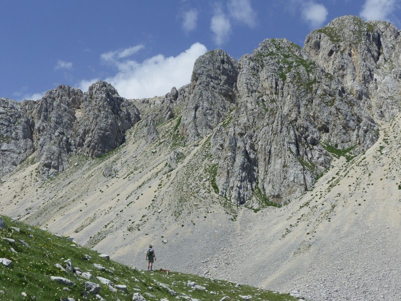 er Terminillo: la Nigritella widderi e altre orchidee sulla montagna di Roma.